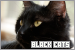 Cats: Black