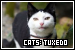 Cats: Tuxedo