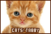  Cats: Tabby: 