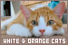  Cats: Orange/Red and White: 