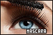  Mascara (Black / General): 