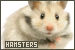  Hamsters: 