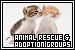  Animal Rescue & Adoption Groups