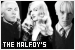  The Malfoy's