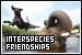  Interspecies Friendships