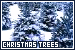  Christmas Trees